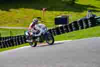 Vintage-motorcycle-club;eventdigitalimages;mallory-park;mallory-park-trackday-photographs;no-limits-trackdays;peter-wileman-photography;trackday-digital-images;trackday-photos;vmcc-festival-1000-bikes-photographs